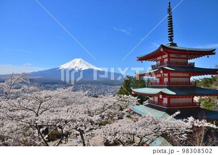 日本の風景美 五重塔と桜と富士山 日本の風景美 五重塔と桜と富士山 98308502