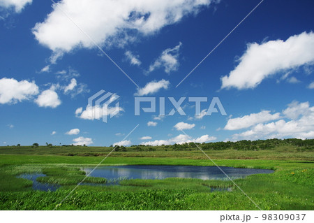 夏雲走る池塘 夏雲走る池塘 98309037