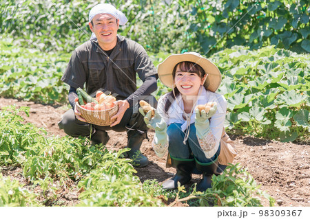 畑で野菜を収穫する農家・生産者の女性・男性・夫婦（アジア人・日本人・中国人） 98309367
