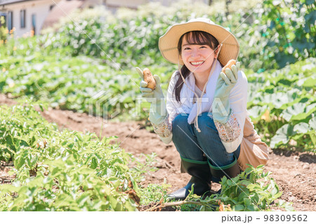畑でじゃがいもを掘る農家・生産者の女性・主婦（アジア人・日本人・中国人） 98309562