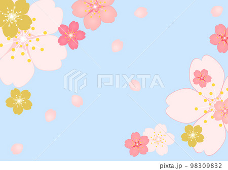 桜の花 98309832