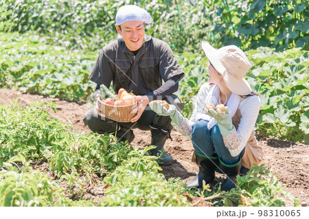 畑で野菜を収穫する農家・生産者の女性・男性・夫婦（アジア人・日本人・中国人） 98310065