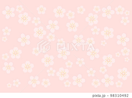 桜の花 98310492