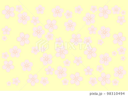 桜の花 98310494