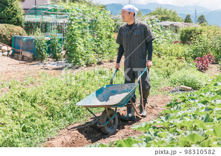 キャリーカートを持って畑を歩く農家のアジア人男性（農業・田舎暮らし） 98310582