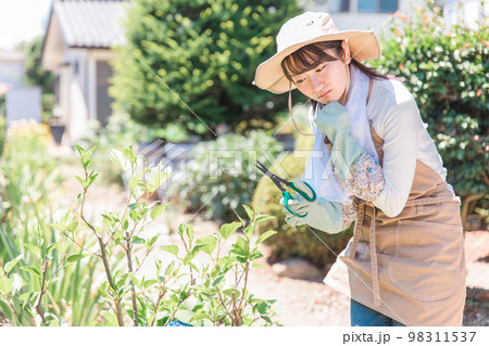 庭の園芸・ガーデニングの花に水やりをする女性(困る・悩む) 庭の園芸・ガーデニングの花に水やりをする女性(困る・悩む) 98311537