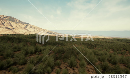 Mohave Desert landscape with blue cloudy skies 98311547