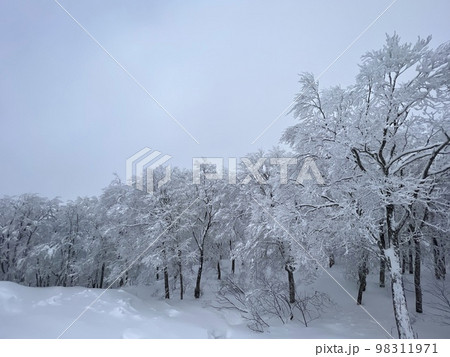 樹氷 山形蔵王 98311971