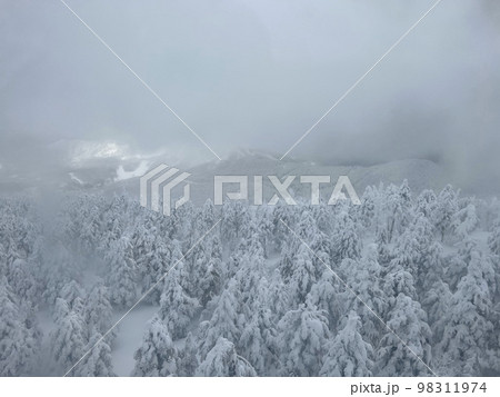 樹氷 山形蔵王 98311974