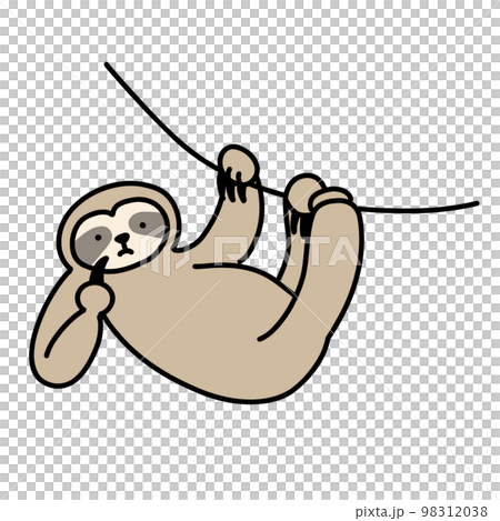 想知道樹懶 98312038