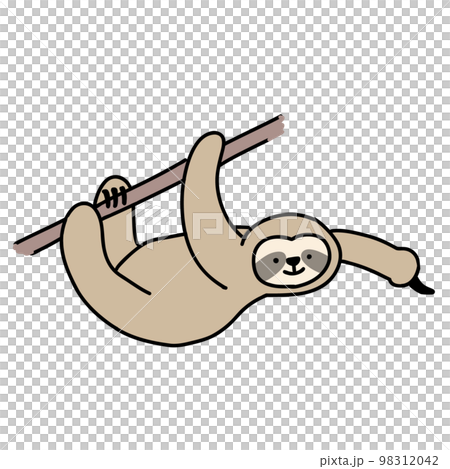 指をさすナマケモノ 98312042