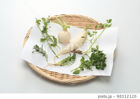 春の七草 春の七草 98312120