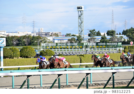 競馬 競馬 98312225