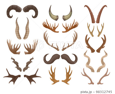 Cartoon wild animals horn, horned moose, reindeer and antelope antlers. Mammals hunting trophy, buffalo, ram and goat horns flat vector symbols set. Forest animals horn bundle Cartoon wild animals horn, horned moose, reindeer and antelope antlers. Mammals hunting trophy, buffalo, ram and goat horns flat vector symbols set. Forest animals horn bundle 98312745