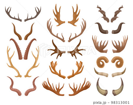 Cartoon animal horns, goat, reindeer, antelope and moose horn. Wild mammals antlers, hunting trophy flat vector symbols set. Animal horns collection 98313001