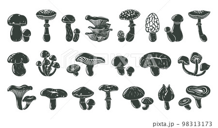 Mushrooms cartoon silhouette, autumn forest plants. Champignon, shiitake, chanterelle and king oyster outlines flat vector illustration set. Black mushrooms collection 98313173