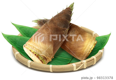 筍 たけのこ イラスト リアル 98313378