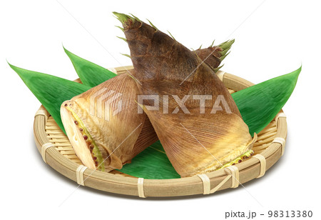 筍 たけのこ イラスト リアル 98313380