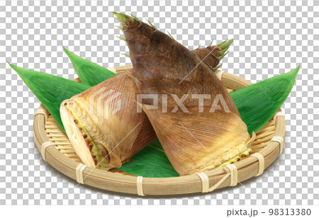 竹筍插圖真實 98313380