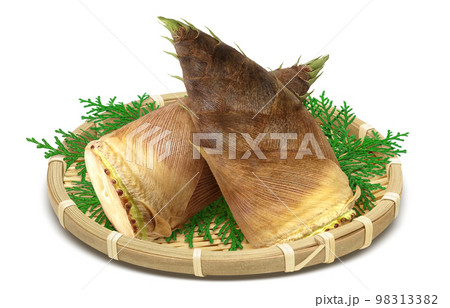 筍 たけのこ イラスト リアル 98313382