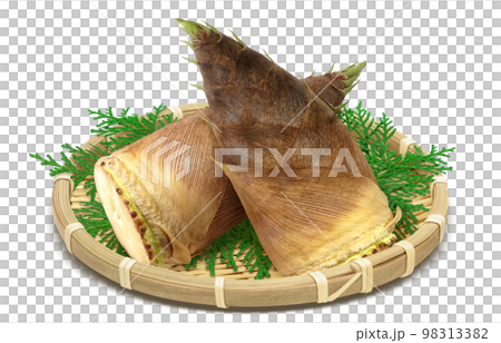 Bamboo shoots illustration real 98313382