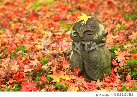 お地蔵さん（秋の京都イメージ・圓光寺・京都市） 98313682