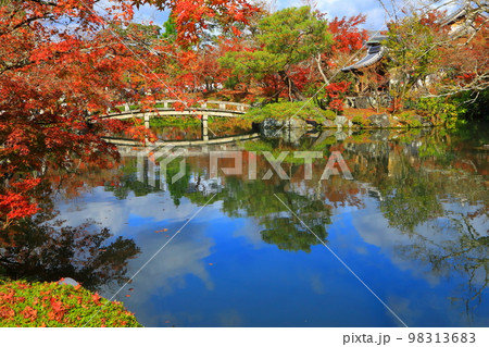 秋の永観堂（京都市） 98313683
