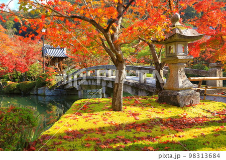 秋の永観堂（京都市） 98313684