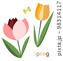 春の花チューリップと蝶 98314117