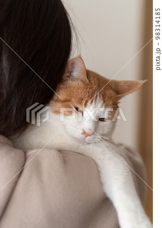 猫を抱く人　茶トラ白 98314185