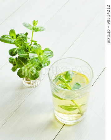 Mint tea in glass 98314212