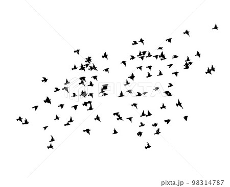 A flock of flying birds. Free birds. Vector illustration 98314787