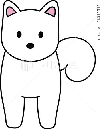 ほっこりかわいい白柴犬 98315512