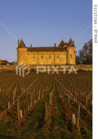 Chateau de Rully castle, Saone-et-Loire departement, Burgundy, France 98315753