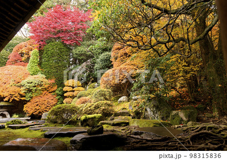 本陣岩波家庭園 98315836