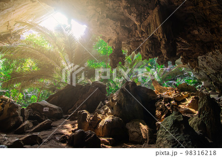 Landscape of cave and tree Hup Pa Tat, Uthai Thani, Thailand Landscape of cave and tree Hup Pa Tat, Uthai Thani, Thailand 98316218