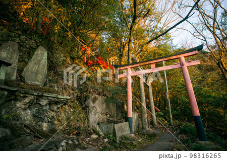 京都 黄昏時の稲荷山の鳥居と石碑 98316265