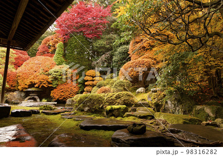 本陣岩波家庭園 98316282