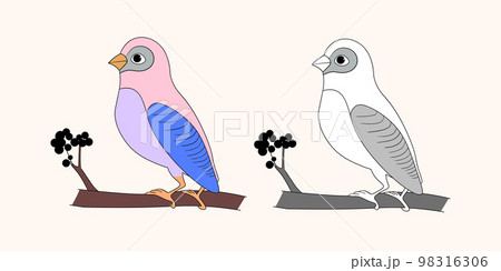 Funny colorful birds, flowers, leaves and berries. Color flat vector illustration with little cartoon bird. Cute characters. Card, postcards for kids 98316306