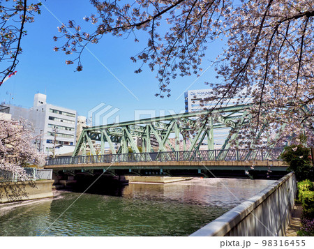 東富橋とサクラ・江東区指定都市景観重要建造物 98316455