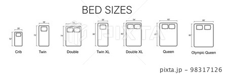 Bed Sizes and Mattress Dimensions . Pictograms depict icons of bed sizes. Vector 98317126