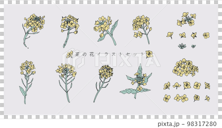 菜の花のイラストセット 98317280