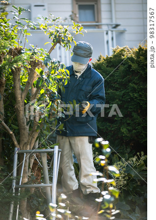 庭師 植木屋 造園屋 男性 庭師 植木屋 造園屋 男性 98317567