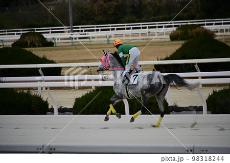 競馬 競馬 98318244