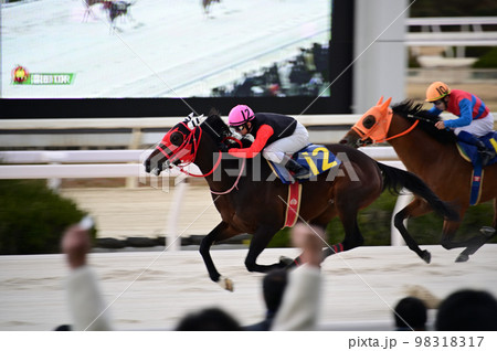 競馬 競馬 98318317