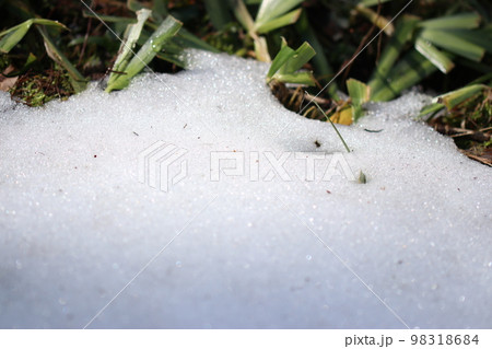 春先の山の残雪 98318684