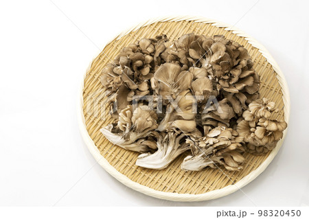 白バックで盆ざるに置いたマイタケ 98320450