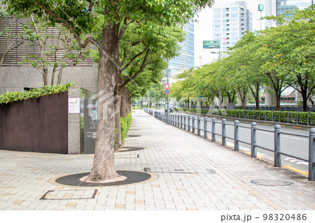 日本橋川沿い桜並木／東京都千代田区 98320486