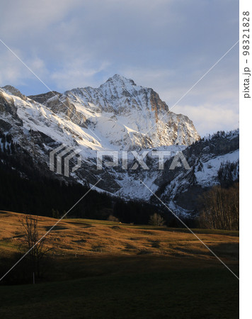 Sun lit meadow and snow covered Mount Arpelistock. 98321828