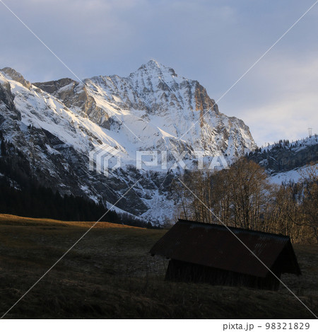 Sun lit meadow and snow covered Mount Arpelistock. 98321829